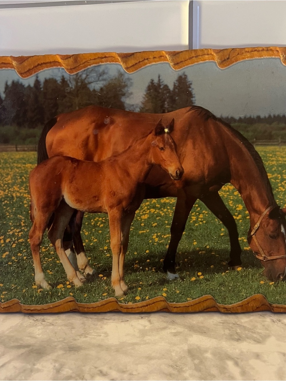 Vintage Horse Wood Plaque Mare Foal Photo Transfer | Rustic Equestrian